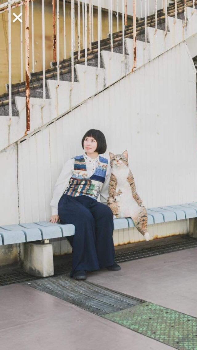 日展作家花房花子作　椿 取扱作家】花房さくら | petel gallery